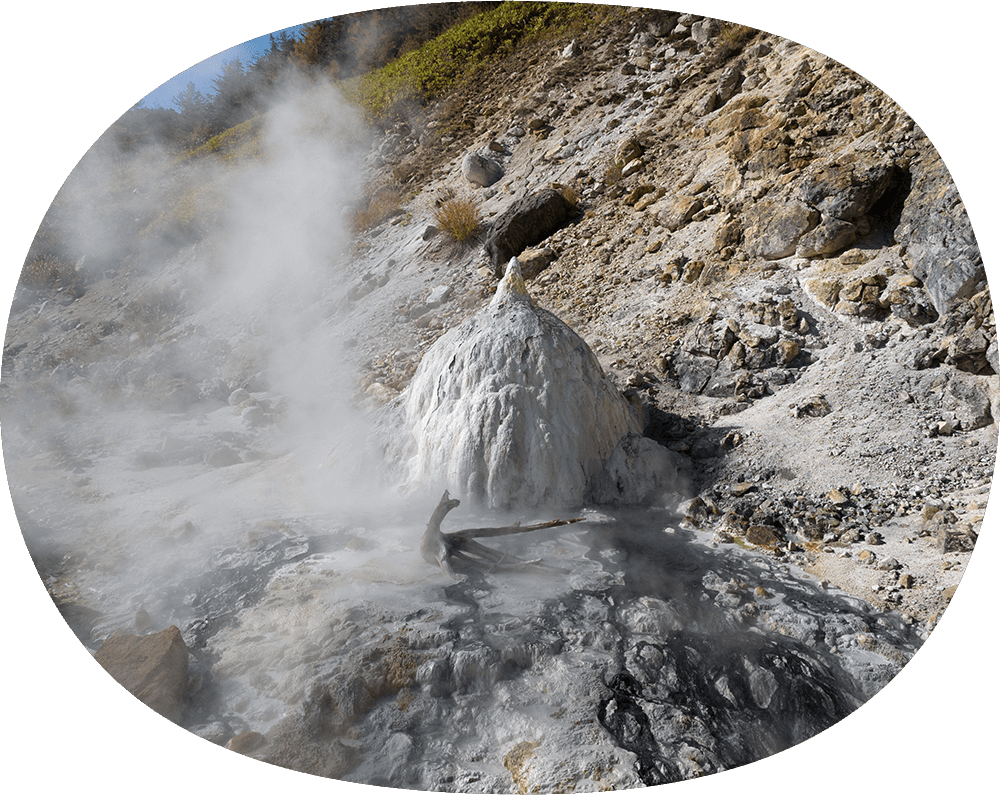 プランイメージ画像