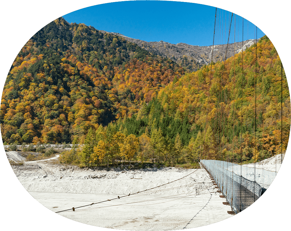 プランイメージ画像