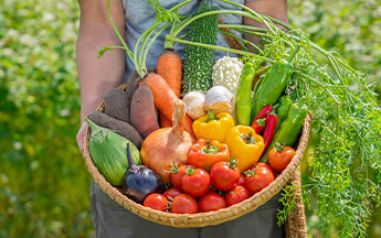 大町産のおいしい農産物イメージ