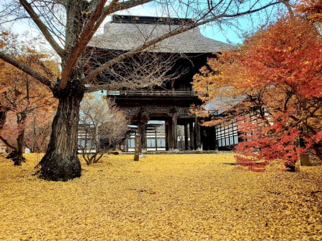 @霊松寺
2024.11.22

晩秋の寂しさも感じながら
サクサクになる前の落ち葉を踏みしめ
移りゆく季節をひっそりと楽しめます

秋から冬へと移り変わるこの時期
地味なので撮影するのは難しいけど
上手く表現出来たら
きっと素敵ですよね

素敵なお写真撮れた方
ぜひタグ付けお願いします
#晩秋の信濃大町

#紅葉#紅葉見ごろ過ぎ#晩秋
#秋の旅行#山好き#秋
#北アルプス⁡ #後立山連峰
⁡#立山黒部アルペンルート⁡
⁡#黒部ダム  の長野県側の玄関口
⁡#長野県大町市 #長野県#大町市#信濃大町⁡
⁡#信州#観光#後立山連峰 ⁡
⁡#田舎好き#自然好きな人と繋がりたい
⁡#長野市⁡#松本市#白馬#安曇野 
⁡#旅 の拠点#大町